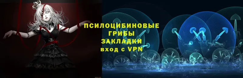 ОМГ ОМГ как войти  Бугульма  Галлюциногенные грибы прущие грибы 